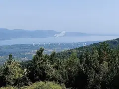 Sapanca Lake & Masukiye Day Trip from Istanbul with Lunch