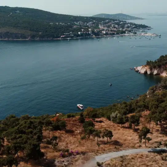 Princes' Islands Full-Day Guided Tour from Istanbul with Lunch, photo 4